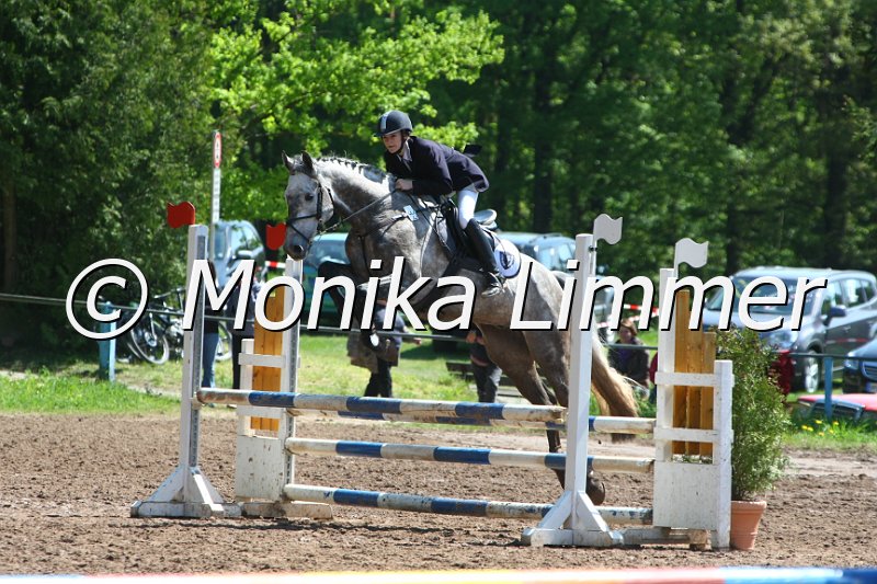 104M8201_SpringWB E.JPG